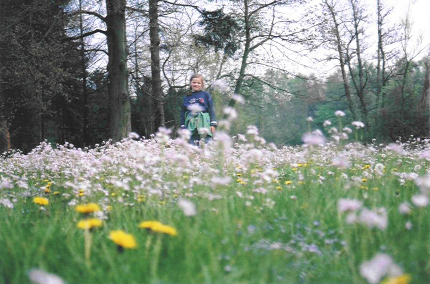 Zoveel mooie bloemen. Waarom mag ik ze nu niet plukken?